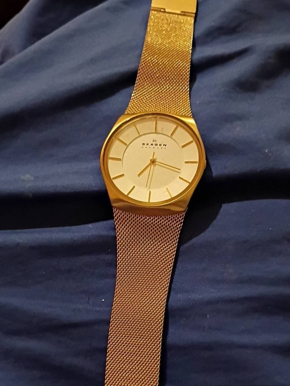 Skagen Gold-Tone Mesh Band Watch with Champagne Dial